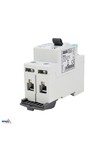differential current circuit breaker a 2p 25a 30ma schelinger