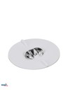 EMERGENCY LUMINAIRE SKALER ROUND 3W CORRIDOR OPTICS IP40 AUTOTEST 2H CNBOP