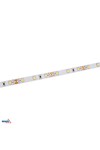 LED-ribad premium 12v dc 2835 300led/5m 4,8w/1m IP65 külm valge