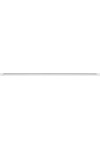 PUSH-IN WIRE CONNECTOR 0,5-2,5mm2 x 2 -100 PCS.