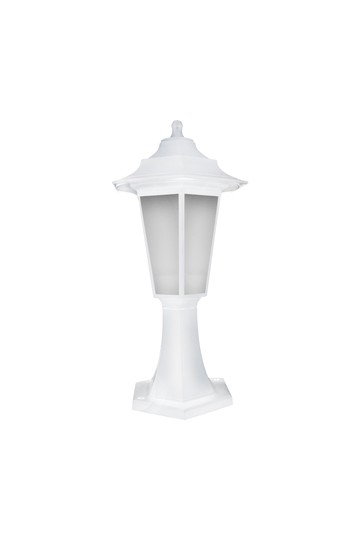 BEGONYA1 WHITE