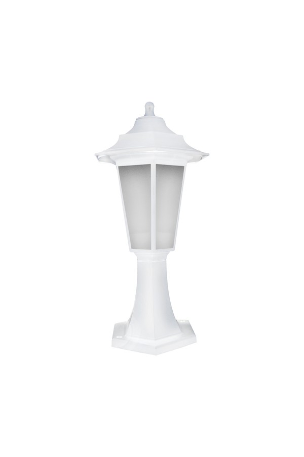BEGONYA1 WHITE