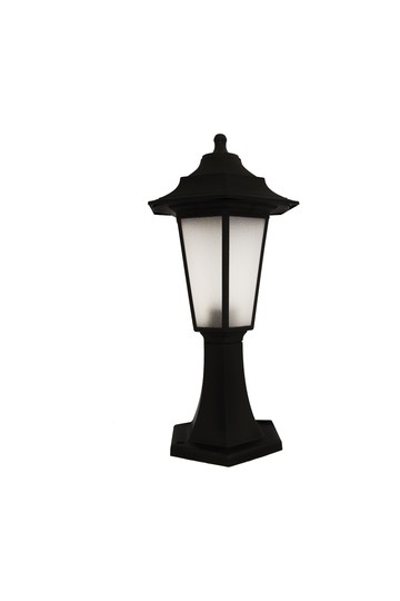 BEGONYA1 BLACK