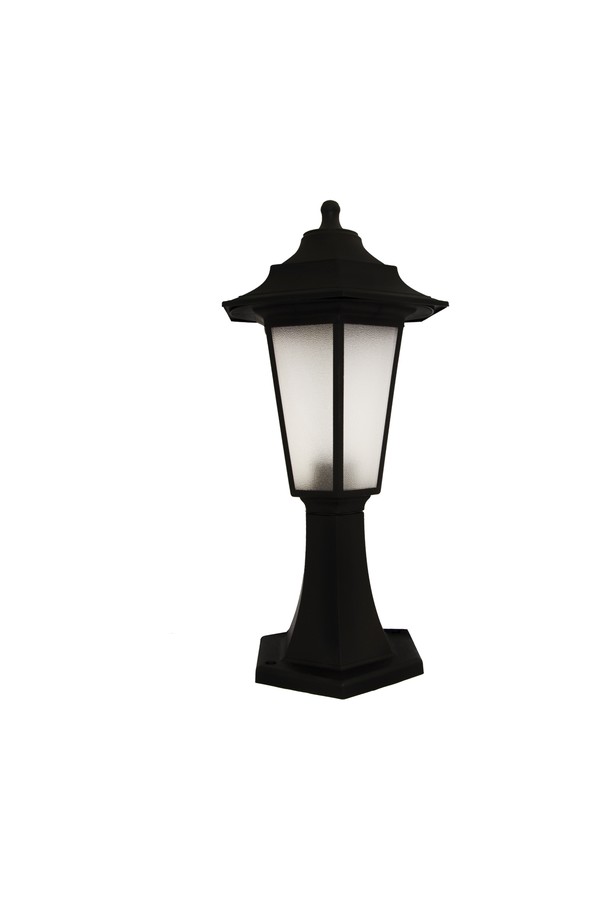 BEGONYA1 BLACK