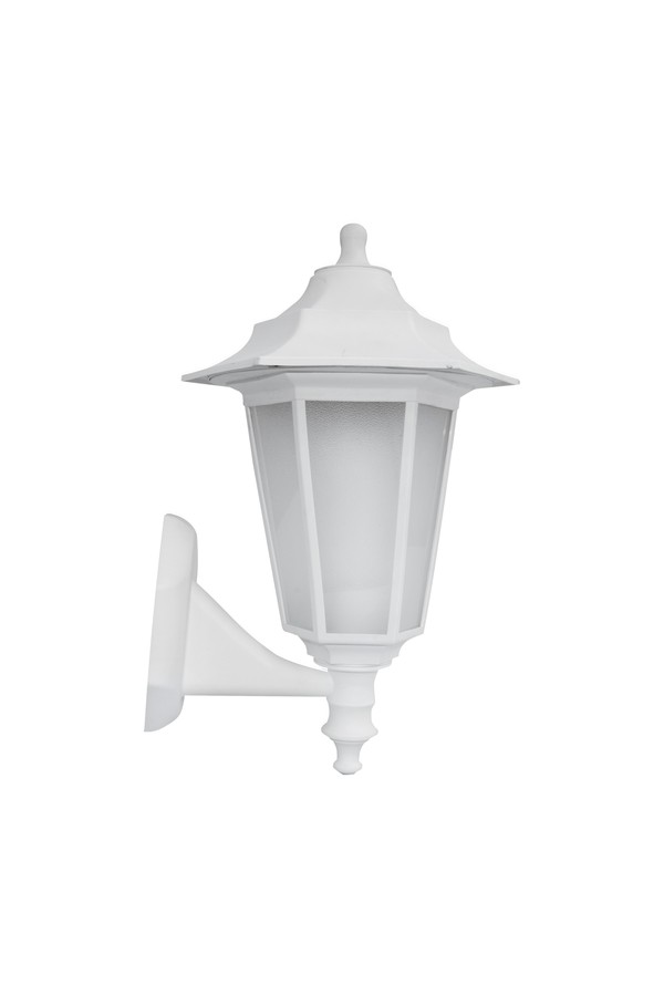 BEGONYA2 WHITE