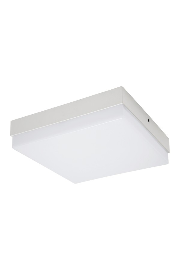 ROBIN LED D 24W NW