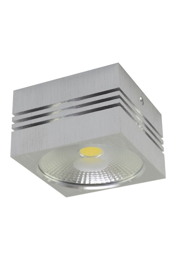 GUSTI LED 10W NW