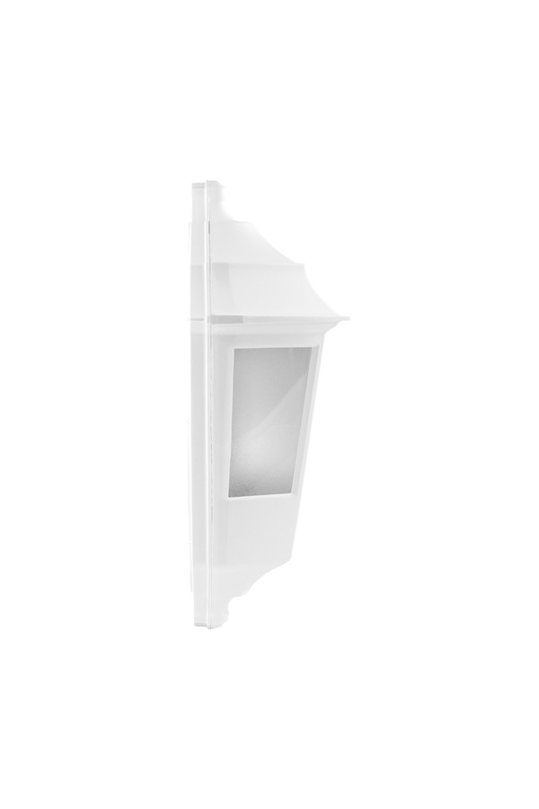 BEGONYA4 WHITE