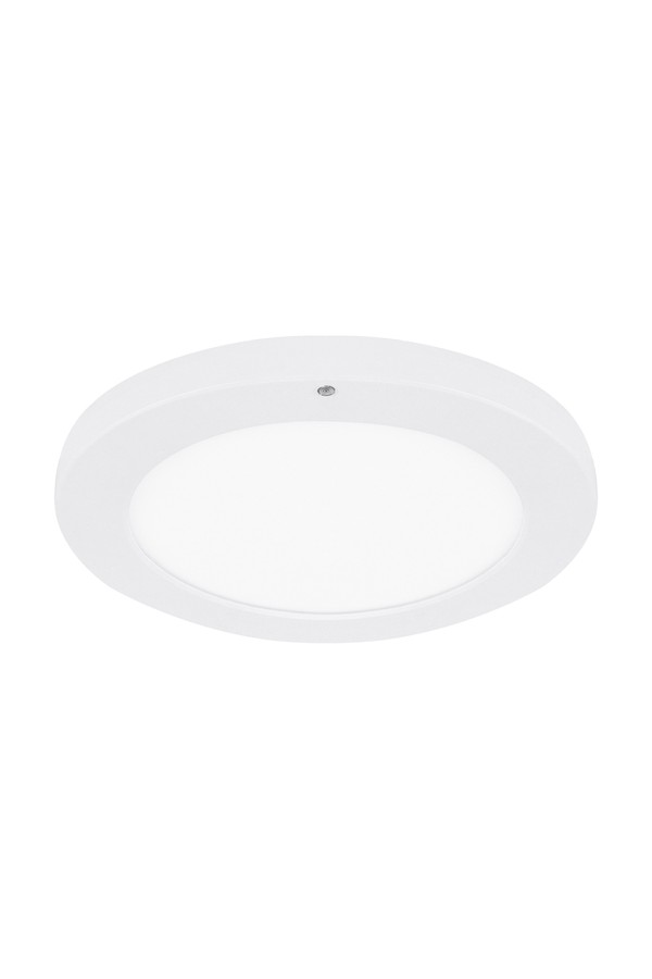 OLGIERD LED C MVS 24W WHITE CCT