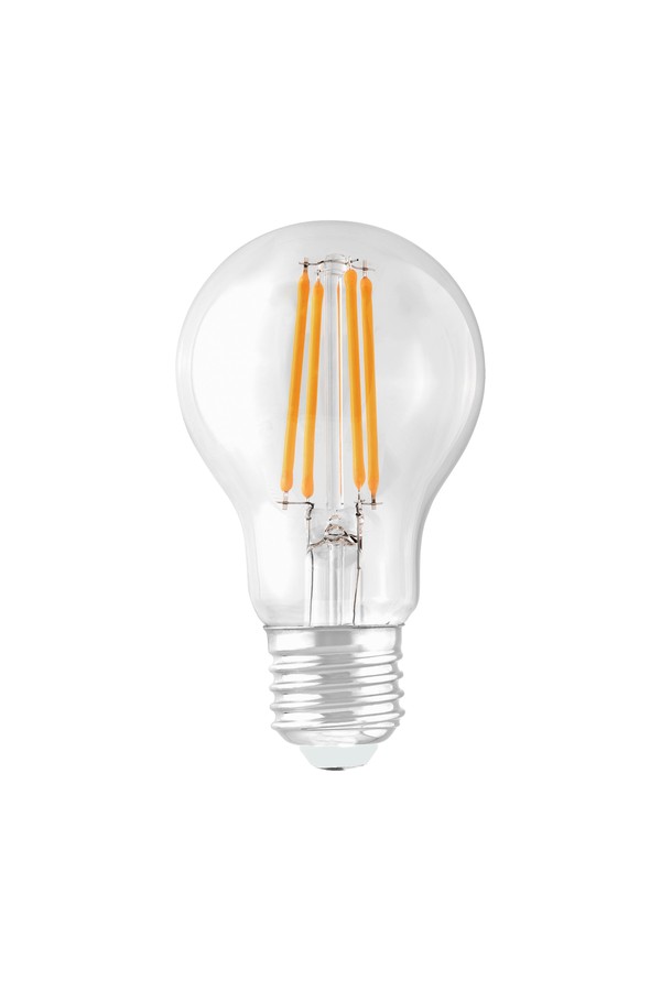 FILAMENT ERSTE LED E27 8W NW