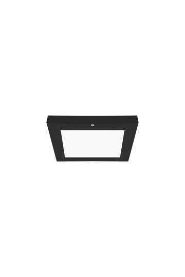 OLGIERD LED D MVS 12W BLACK CCT