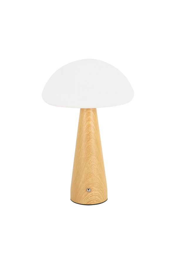 TRUFLA LED 30 PINE CCT