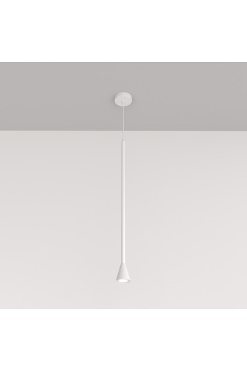 Pendant luminaire P064PL-01W