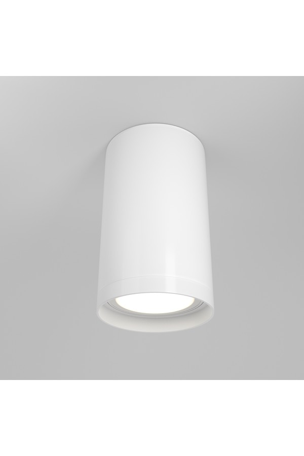 Ceiling luminaire C052CL-01W