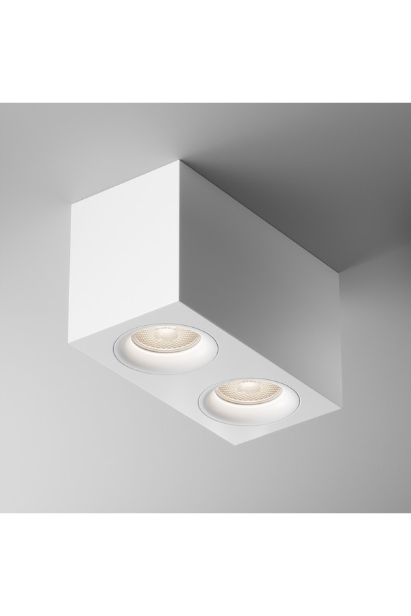 Ceiling luminaire C013CL-02W