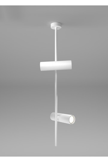 Ceiling luminaire C021CL-02W