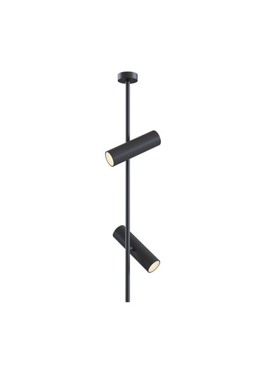 Ceiling luminaire C021CL-02B