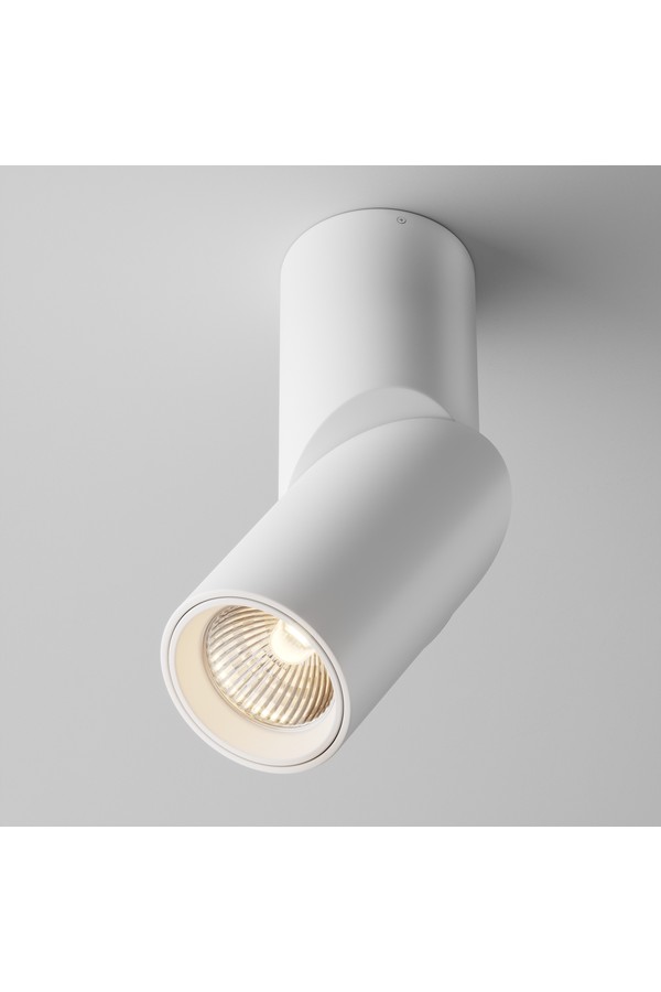 Ceiling luminaire C027CL-L10W
