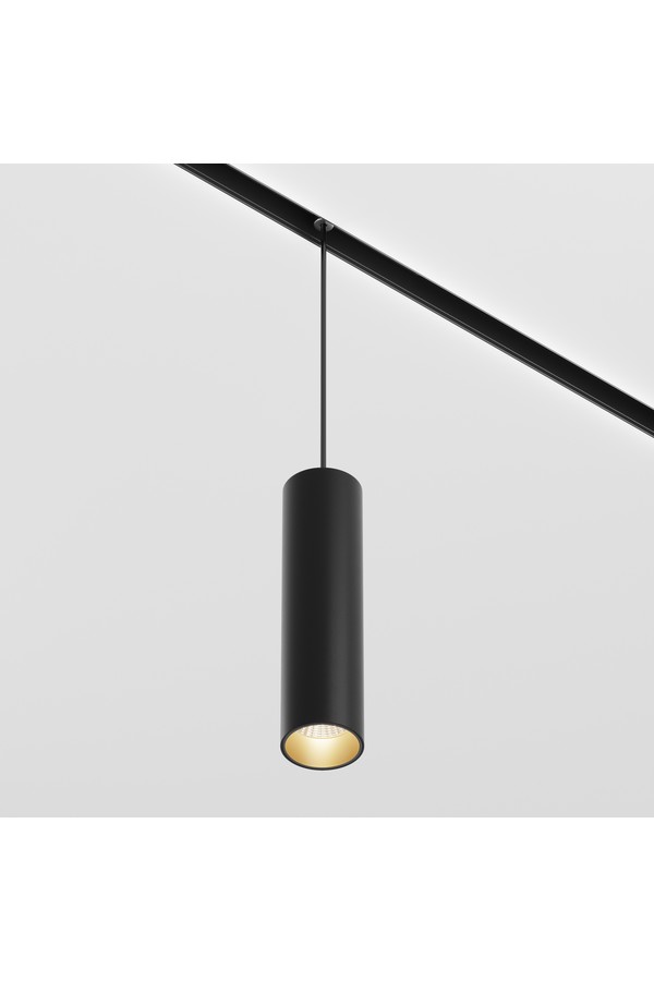 Pendant track luminaire TR041-2-12W3K-B