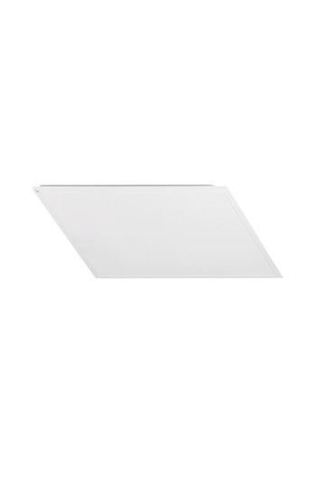 BLINGO 34W 4080 60NW