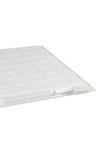 BLINGO 34W 4080 60NW