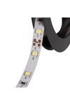 LEDS-B 4.8W/M IP00-CW
