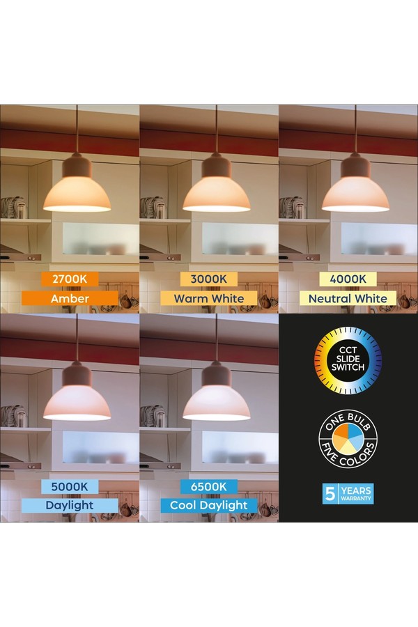 Braytron PREMIUM 8,5W E27 A60 5IN1 LED BULB