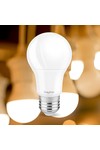 Braytron ADVANCE 11W E27 A60 4000K LED BULB