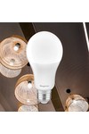 Braytron ADVANCE 13W E27 A60 4000K LED BULB