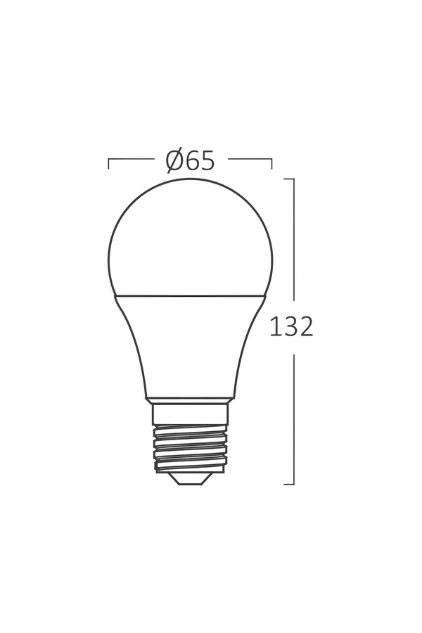 Braytron ADVANCE 16W E27 A65 3000K LED BULB