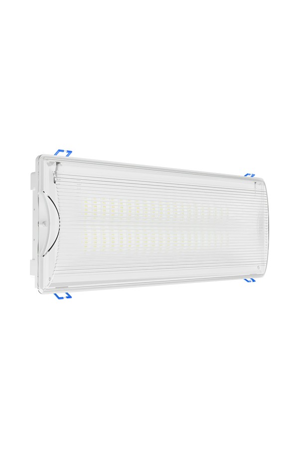 Braytron EXIT LED 5W DUAL IP65 WHT EMERGENCY EXIT