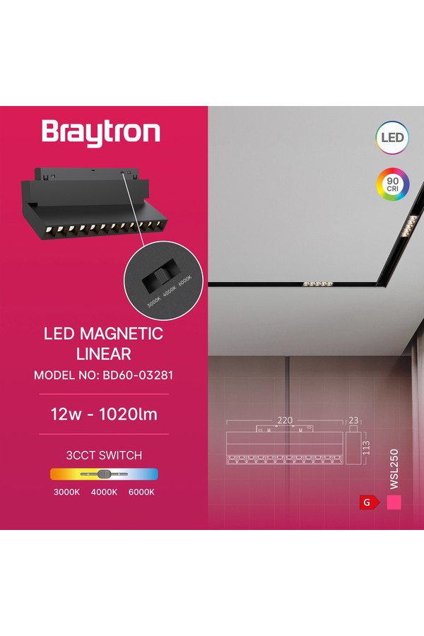 Braytron WSL250 12W 48VDC 3IN1 BLC MAG. LINEAR