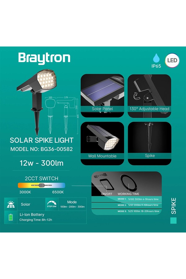 Braytron SPIKE 12W GRY 2IN1 IP65 SPIKE LIGHT