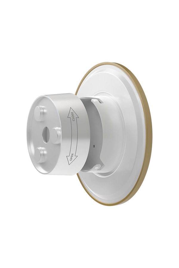 Braytron PALERMO M RND GLD 12W 3IN1 IP65 WALL LIGHT