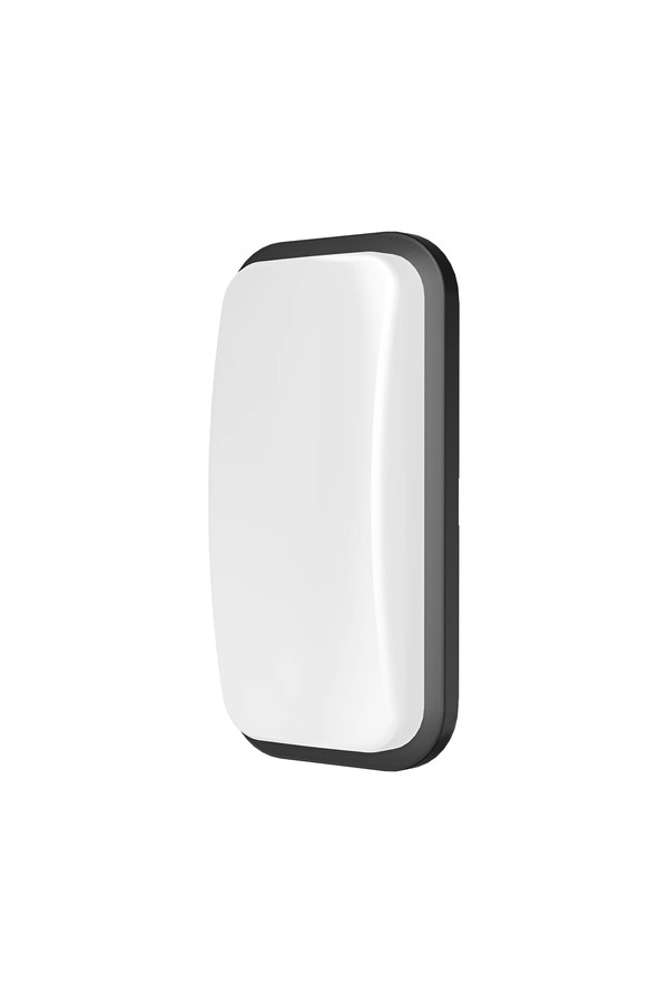 Braytron WALLS B ELP BLC 15W 3000K IP65 WALL LIGHT