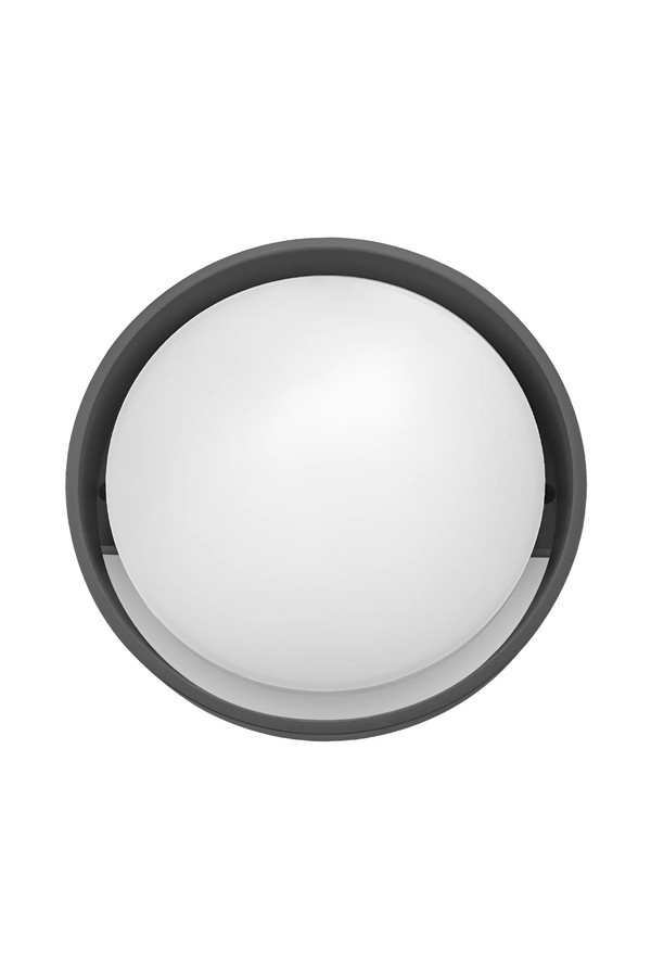 Braytron WALLS D RND GRY 12W 3000K IP65 WALL LIGHT