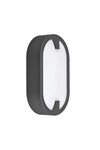 Braytron WALLS D ELP GRY 15W 6500K IP65 WALL LIGHT