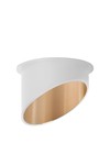 Braytron ALFA D RND WHT GLD SPOTLIGHT