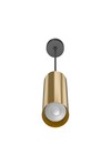 Braytron BETA 6020 PD RND GLD GU10 SPOTLIGHT