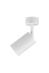 Braytron BETA SRD_1 WHT GU10 SPOTLIGHT