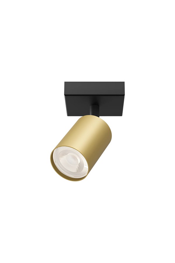 Braytron BETA SRQ 1 GLD GU10 SPOTLIGHT