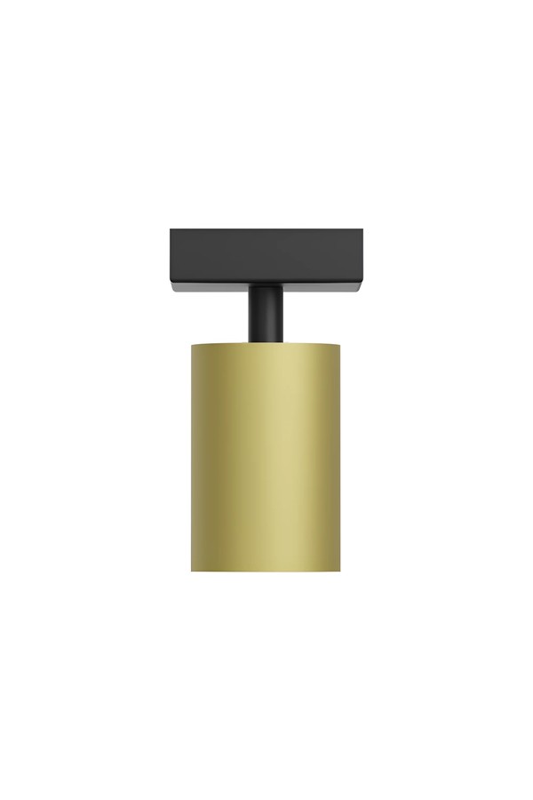 Braytron BETA SRQ 1 GLD GU10 SPOTLIGHT