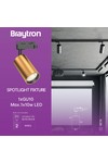 Braytron BETA TR2 GLD GU10 2WRS TRACKLIGHT