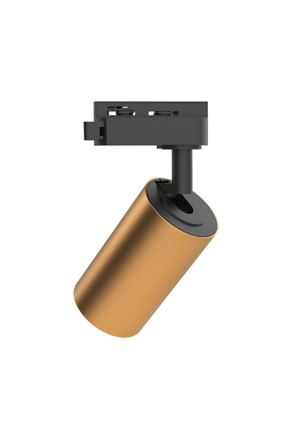 Braytron BETA TR2 GLD GU10 2WRS TRACKLIGHT
