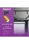 Braytron BETA TR2 GLD GU10 4WRS TRACKLIGHT