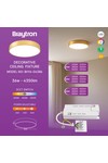 Braytron BLADE SR RND GLD 36W 3IN1 WAT3 CEILING LIGHT