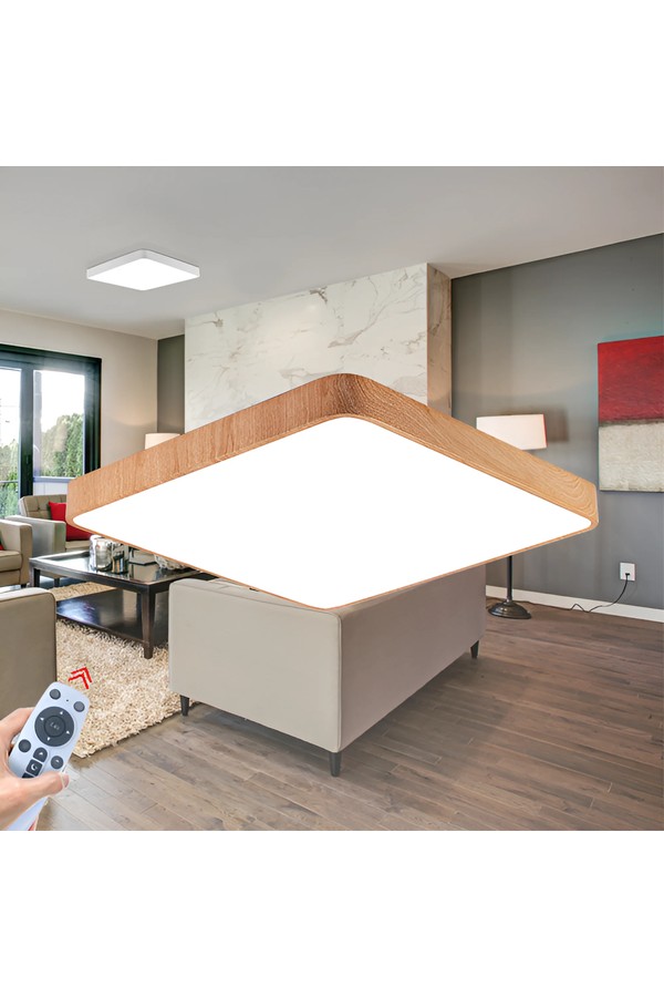 Braytron BLADE SS SQR WDN 45W RMT CEILING LIGHT