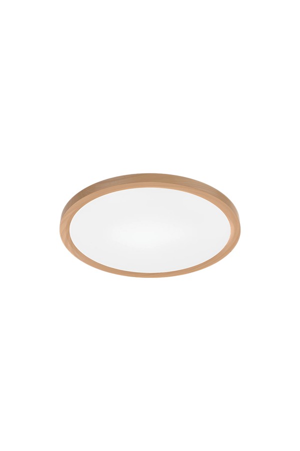 Braytron JADE SLR WDN RND 26W 3IN1 CEILING LIGHT