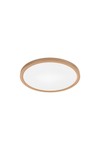 Braytron JADE SLR WDN RND 26W 3IN1 CEILING LIGHT
