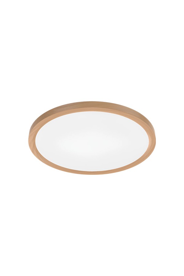 Braytron JADE SLR WDN RND 36W 3IN1 CEILING LIGHT
